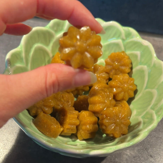 Gut-Healing Gummies 🌸